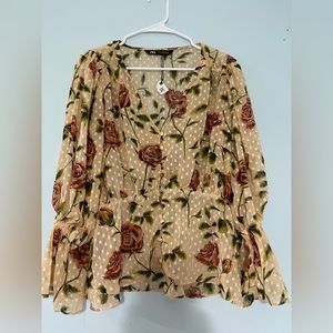 Zara sheer long sleeve blouse